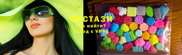 дмт Богданович