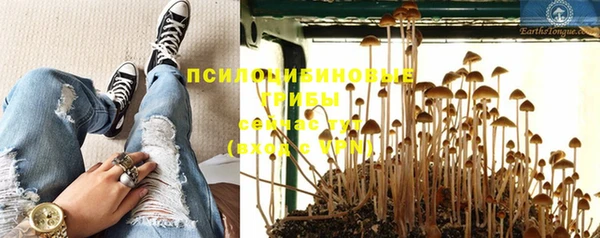 гашишное масло Богородск