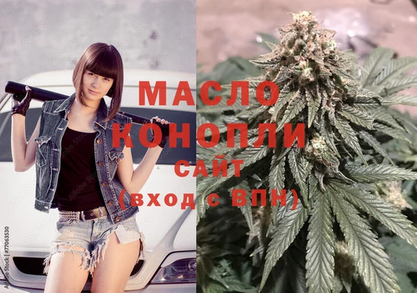 дмт Богданович