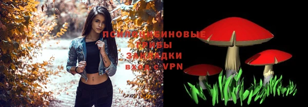 a pvp Богородицк