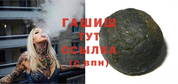 дмт Богданович